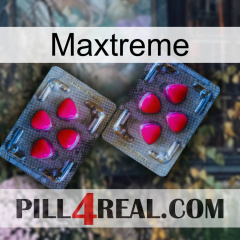 Maxtreme 15